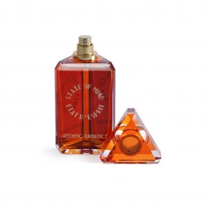 2056-Aesthetic Turbulence Perfume 100ml-3